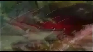 فتاة العزف المنفرد مجعد مشعر عبودية مثليه