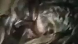 مركز عربي للبالغين: مقاطع جنس جامحة مع بنات وعابرات جنس