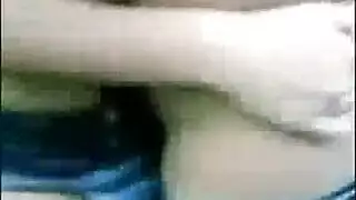 حصانان أسودان في أوجي مملكة الحيوانات