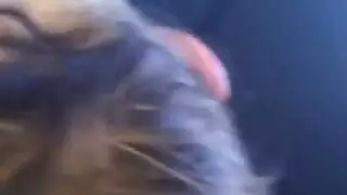 فاتنة بيضاء ناضجة تقدم منزل عميق