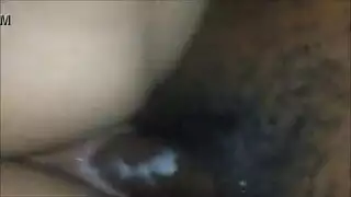 الكلب اللحيس