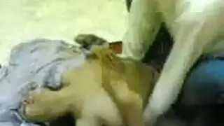 ثنائي إكس إكس إكس يضربان عاهرة مستعدة: الصديق يلتقط كل الحركة