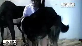 سكين الكلاب مع ممحونه و كسها مولع زب الكلب اة