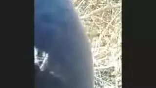 مشهد إباحي: فتاة مصرية محجبة تمص زب عربي قوي