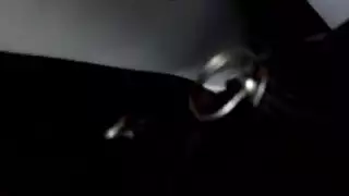 فريسه بني سويف