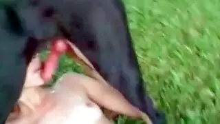 وحشية xxx: كلب ينكش عاهرة روسية محرومة