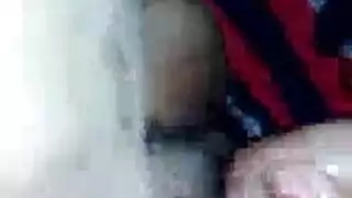 بزاز عربى كبيره