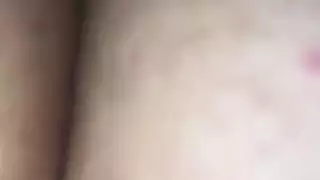 الحمار العربي سخيف