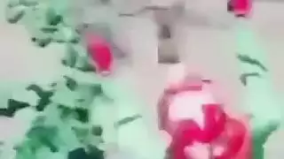 مقدمة للاستمناء: امرأة عربية تحلق شفري كسها المبتل