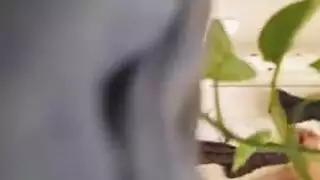 ام مع ابن زوجها في عرفتها على السرير وهو يعسفقها خجول