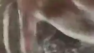 جنس صريح على شبكة الصيد: فتاة باللباس الأخضر تئن على الآلة